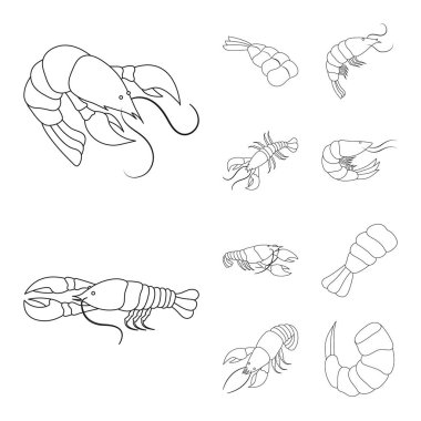 Gıda ve deniz işareti vektör tasarımı. Gıda ve hayvan hisse senedi vektör çizim koleksiyonu.