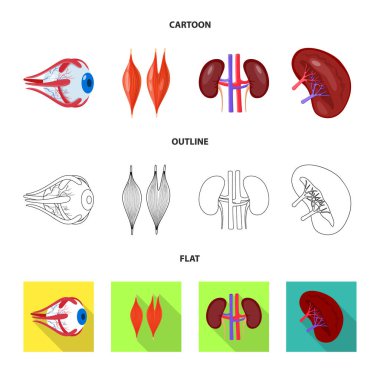 Biyoloji ve bilimsel işareti vektör çizimi. Biyoloji ve laboratuvar hisse senedi simgesi için web topluluğu.