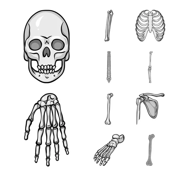 Desenho vetorial de biologia e símbolo médico. Conjunto de símbolos de estoque de biologia e esqueleto para web . —  Vetores de Stock