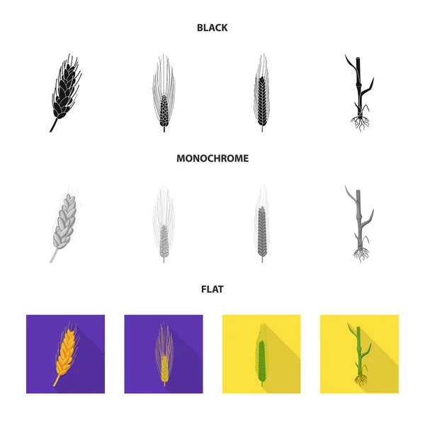 Vektor design av jordbruk och jordbruk logotyp. Samling av jordbruk och växt vektor ikonen för lager. — Stock vektor