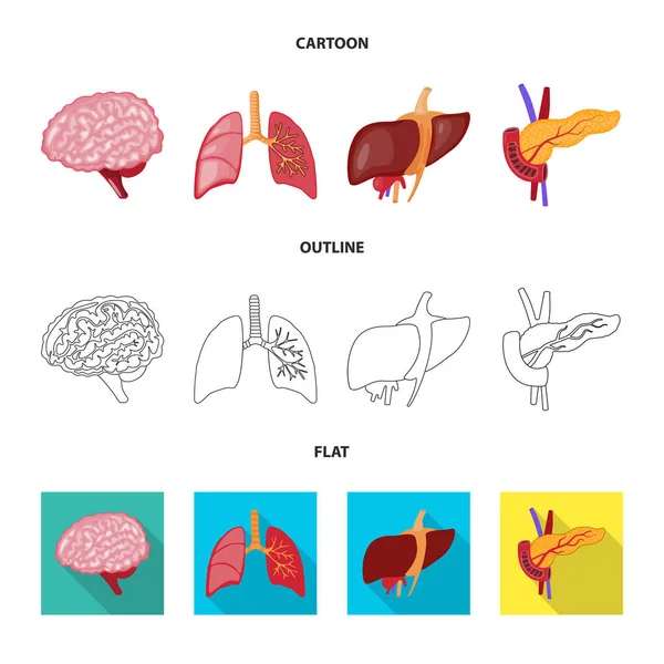 Conception vectorielle de la biologie et icône scientifique. Collection de biologie et stock de laboratoire symbole pour le web . — Image vectorielle