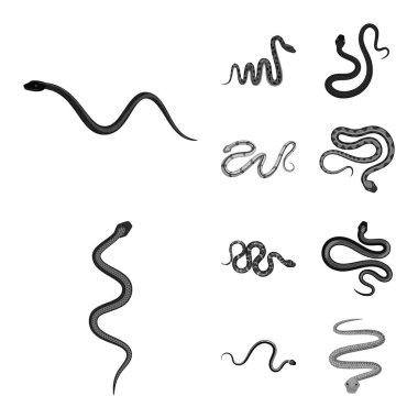 Vektör Illustration zarar ve ısırık sembolü. Hisse senedi için zarar ve sürüngen vektör simgesi seti.