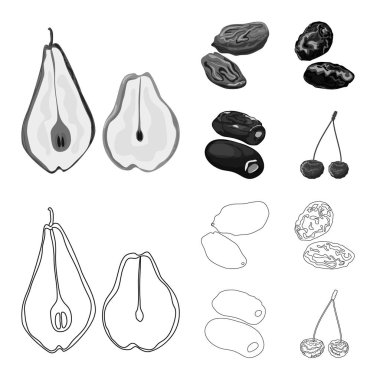 Gıda ve ham simgesi yalıtılmış nesne. Gıda topluluğu ve hisse senedi için doğa vektör simgesi.