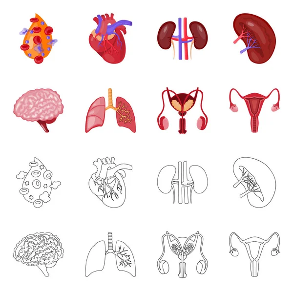 Ilustración vectorial de la biología y el logotipo científico. Colección de biología y símbolo de stock de laboratorio para web . — Vector de stock