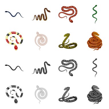 Mammal ve tehlike işareti vektör tasarımı. Memeli ve tıp hisse senedi vektör çizim topluluğu.