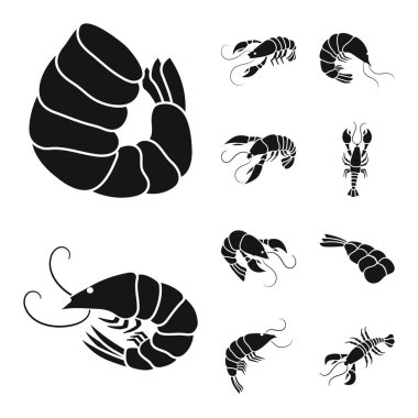 Et ve incelik sembolünün vektör tasarımı. Stok için et ve Yengeç vektör simgesi seti.