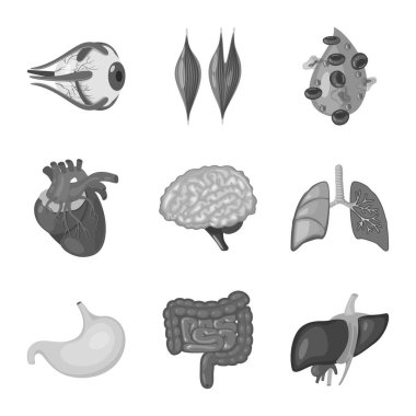 İç ve tıbbi simge vektör Illustration. İç kümesi ve hisse senedi için sağlık vektör simgesi.