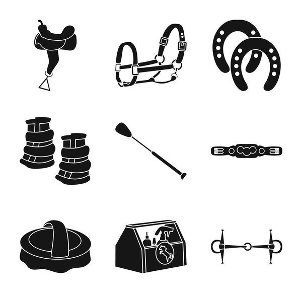 Isolated object of sport and competition sign. Set of sport and equestrian vector icon for stock.