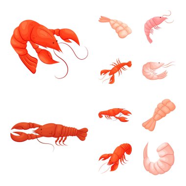 Karides ve yengeç simge vektör tasarımı. Karides kümesi ve hisse senedi için deniz vektör simgesi.