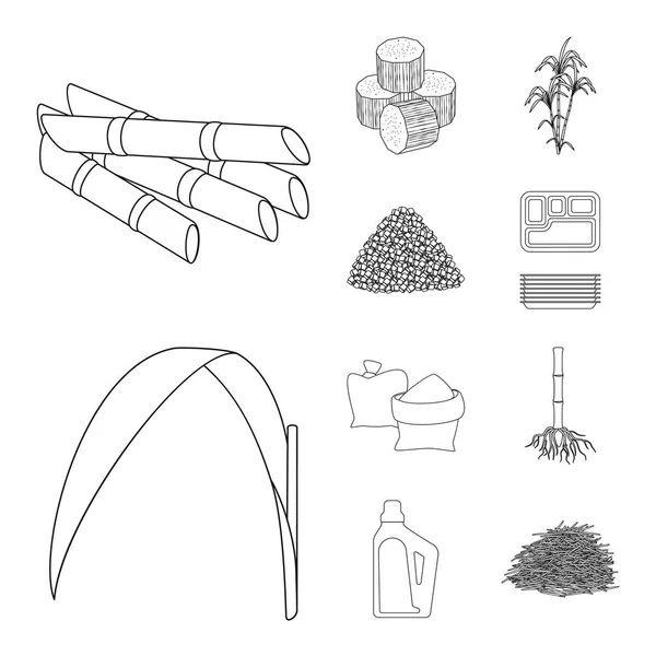 Conception vectorielle du sucre et icône de champ. Collecte de sucre et symbole de stock de plantation pour la toile . — Image vectorielle