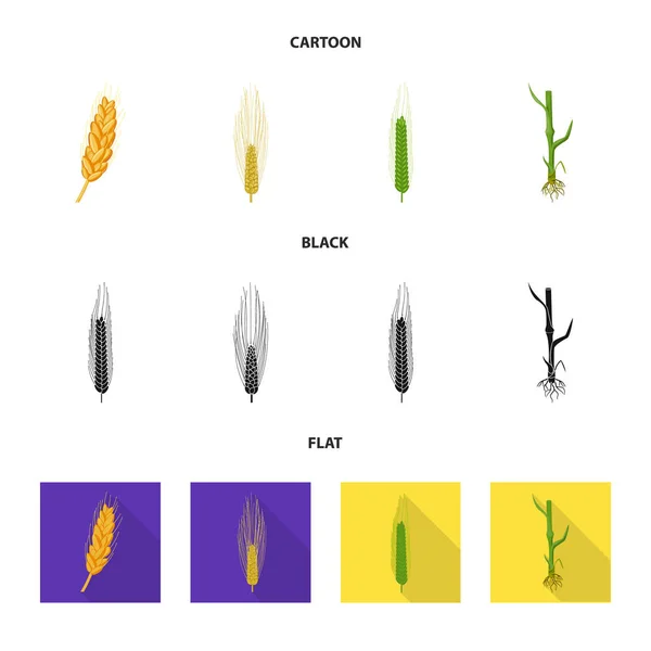 Vektor Illustration von Landwirtschaft und Landwirtschaft Symbol. Sammlung von landwirtschaftlichen Symbolen und Pflanzenbeständen für das Web. — Stockvektor