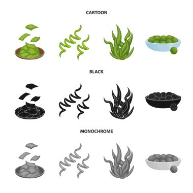 Protein ve deniz sembolü yalıtılmış nesne. Protein ve hisse senedi için doğal vektör ikon koleksiyonu.