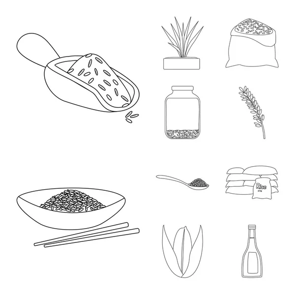 Objeto isolado de dieta e símbolo de cozinha. Conjunto de dieta e estoques orgânicos ilustração vetorial . —  Vetores de Stock