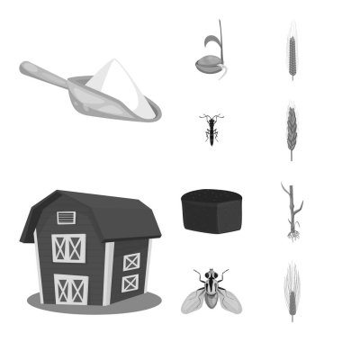 Çavdar ve bitki simge vektör Illustration. Çavdar ve Mısır hisse senedi vektör çizim seti.