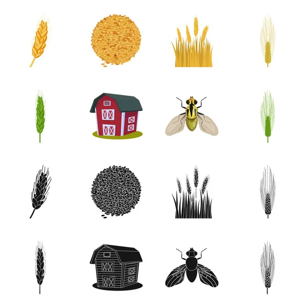 Progettazione vettoriale di agricoltura e segno agricolo. Raccolta di illustrazione vettoriale dell'agricoltura e dello stock vegetale . — Vettoriale Stock