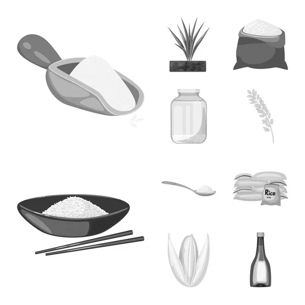 Illustrazione vettoriale del cibo e segno biologico. Raccolta di icone vettoriali alimentari e agricole per le scorte . — Vettoriale Stock