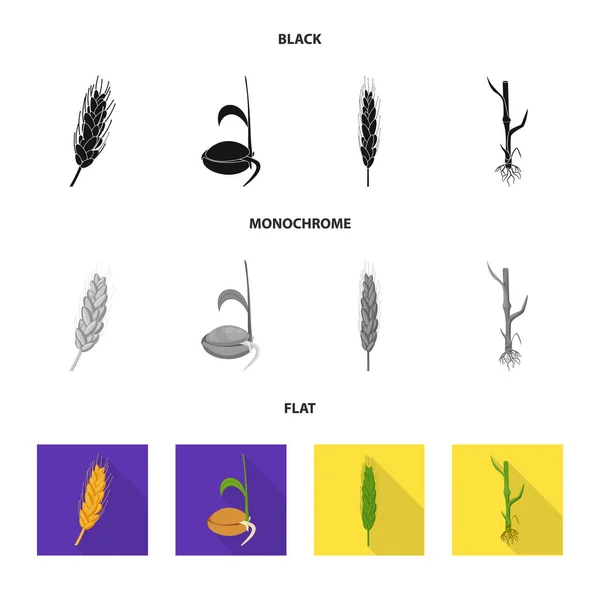 Vector εικονογράφηση της γεωργίας και της γεωργίας σύμβολο. Συλλογή της γεωργίας και εγκαταστάσεων σύμβολο μετοχής για το web. — Διανυσματικό Αρχείο