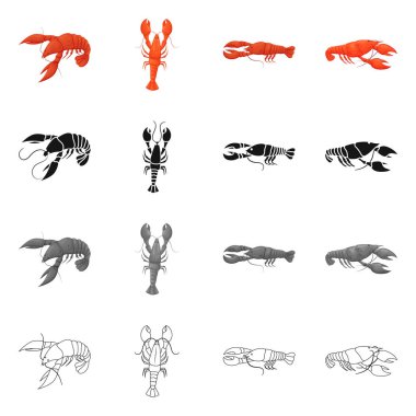 Meze ve okyanus logo vektör tasarımı. Web için meze ve incelik hisse senedi simgesi kümesi.