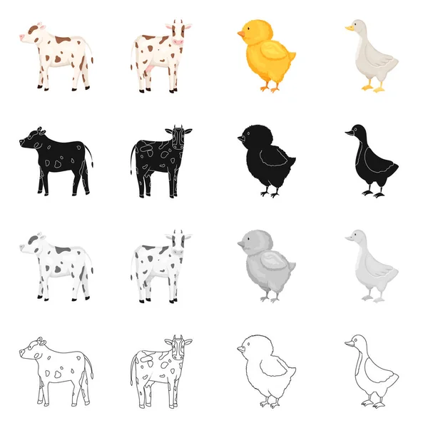 Vector design of breeding and kitchen  logo. Set of breeding and organic  vector icon for stock. — Stock Vector