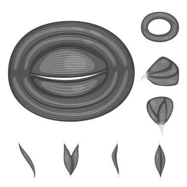 İnsan izole nesne ve vücut oturum açın. İnsan ayarla ve hücreleri hisse senedi için simge vektör.