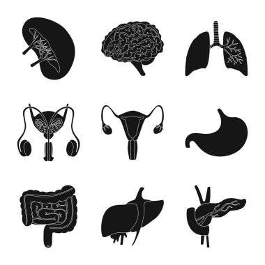 Araştırma ve laboratuvar simge vektör Illustration. Hisse senedi için araştırma ve organ vektör simge topluluğu.