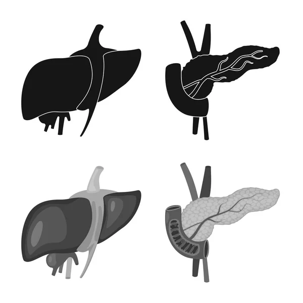 Isolerade objekt av biologi och vetenskapliga symbol. Uppsättning av biologi och laboratorium vektor ikonen för lager. — Stock vektor