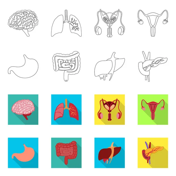 Diseño vectorial de la biología y el icono científico. Colección de biología y vector de laboratorio icono para stock . — Vector de stock