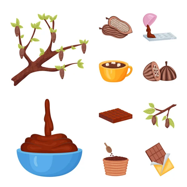 Vektorová design ikony kakaa a fazole. Kolekce z kakaa a sladkost vektorové ilustrace. — Stockový vektor