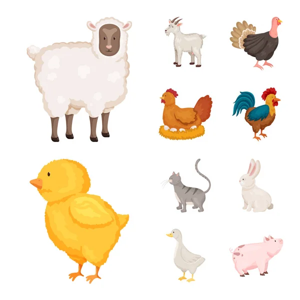 Vektordesign von Landwirtschafts- und Lebensmittelsymbolen. Set von landwirtschaftlichen und landwirtschaftlichen Bestandsvektoren Illustration. — Stockvektor