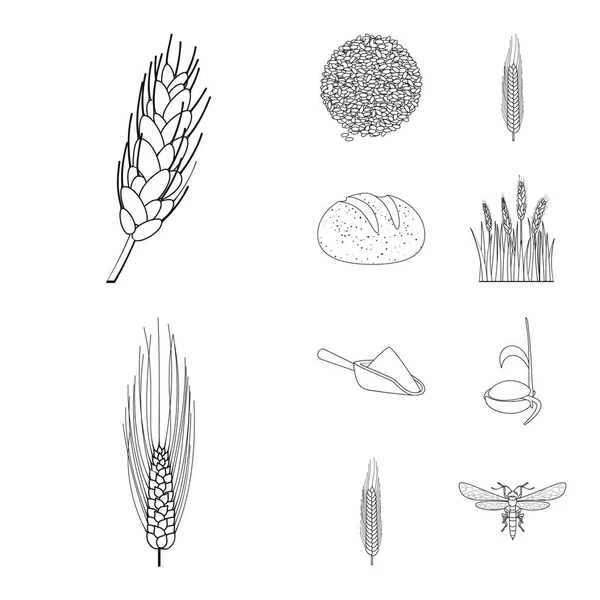 Diseño vectorial del logotipo agrícola y agrícola. Conjunto de ilustración de vectores agrícolas y vegetales . — Archivo Imágenes Vectoriales