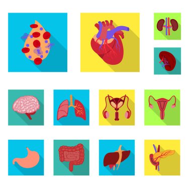 İnsan ve sağlık sembol yalıtılmış nesne. İnsan ve bilimsel hisse senedi simgesi için web topluluğu.