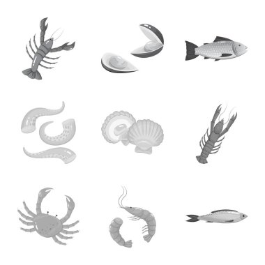 Deniz ürünleri ve sağlıklı logo vektör tasarımı. Deniz ürünleri ve okyanus hisse senedi vektör çizim seti.