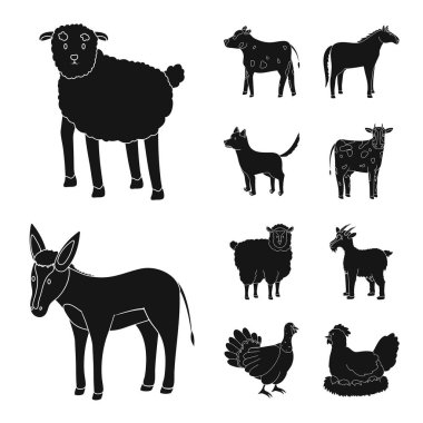 Çiftlik ve organik simge vektör Illustration. Hisse senedi için ranch ve gıda vektör simge kümesi.