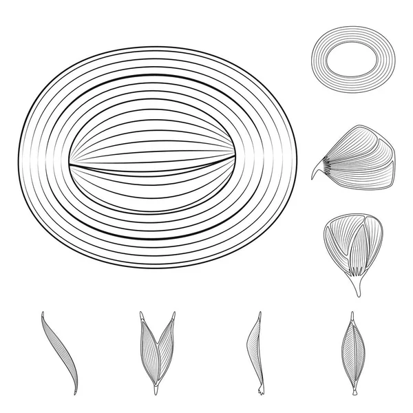 Design vettoriale di fibra e segno muscolare. Set di fibra e body stock simbolo per il web . — Vettoriale Stock