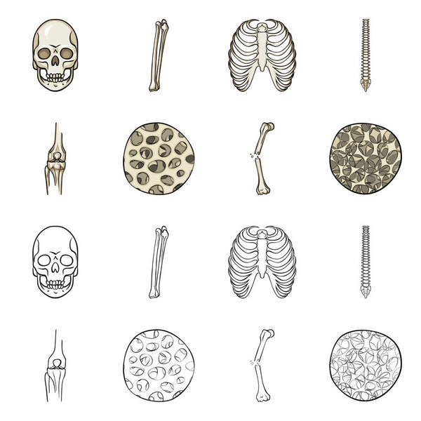 Векторное проектирование медицины и логотипа клиники. Коллекция лекарственных средств и медицинского инвентаря
.