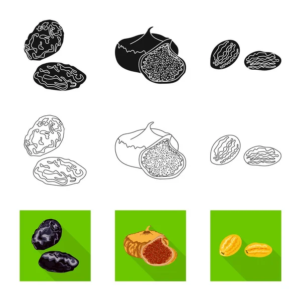 Objet isolé de nourriture et signe cru. Collecte des aliments et de la nature illustration vectorielle . — Image vectorielle