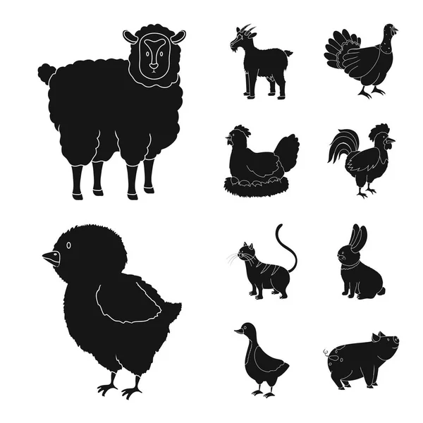 Vector ontwerp van ranch en organische pictogram. Collectie van ranch en voedsel voorraad symbool voor web. — Stockvector