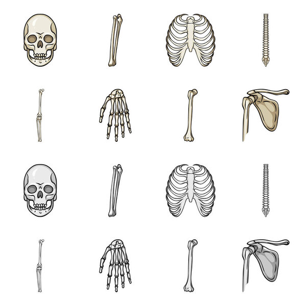 Векторная иллюстрация медицины и символа клиники. Коллекция лекарственных средств и медицинского инвентаря
.