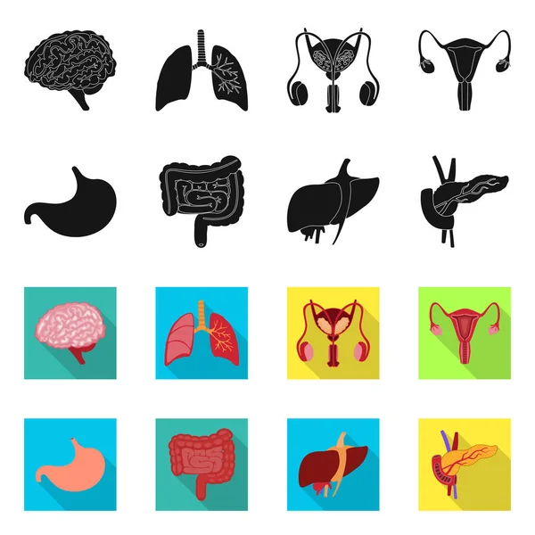 Ilustração vetorial da biologia e do símbolo científico. Conjunto de biologia e ícone de vetor de laboratório para estoque . — Vetor de Stock