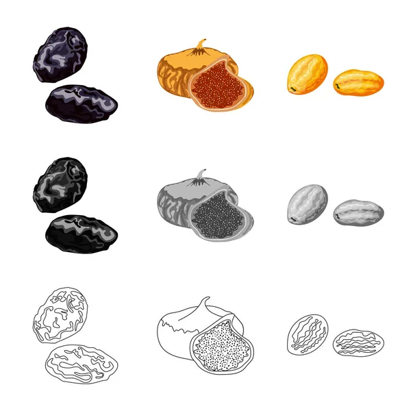 Vektordesign von Lebensmitteln und rohen Symbolen. Sammlung von Nahrungsmitteln und Vektorgrafik der Natur. — Stockvektor