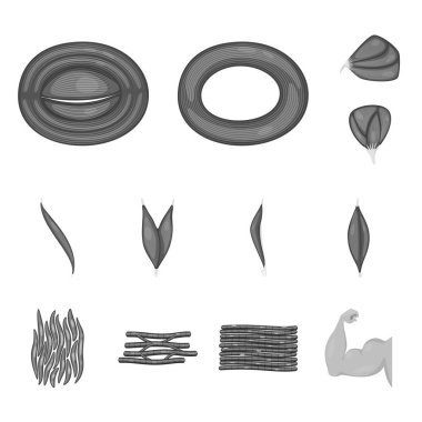 İnsan vektör çizim ve vücut simgesi. Hisse senedi için simge vektör insan topluluğu ve hücreleri.