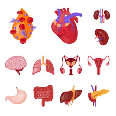 Anatomi ve organ logo vektör tasarımı. Anatomi ve web için tıbbi hisse senedi simgesi.