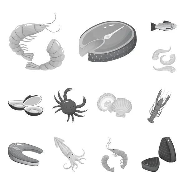 Diseño vectorial de mariscos y signos saludables. Colección de mariscos e ícono de vector oceánico para stock . — Vector de stock