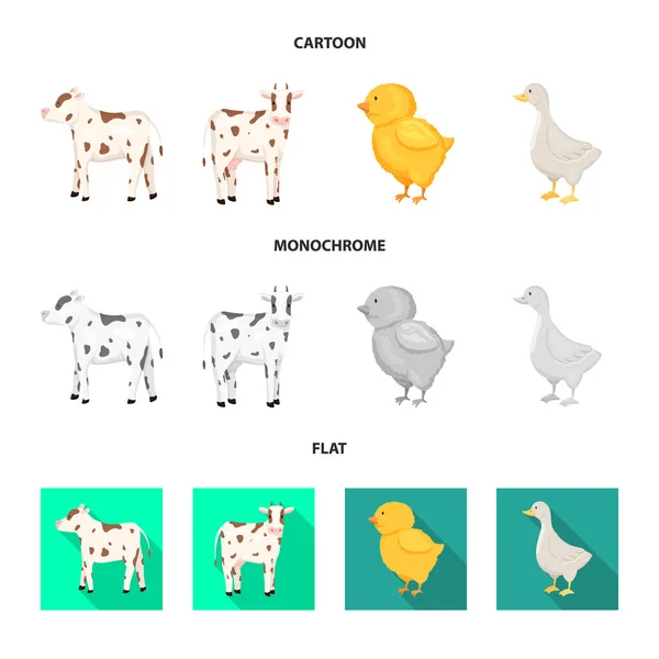Illustration vectorielle de l'élevage et signe de cuisine. Ensemble d'illustration vectorielle de l'élevage et du bétail biologique . — Image vectorielle