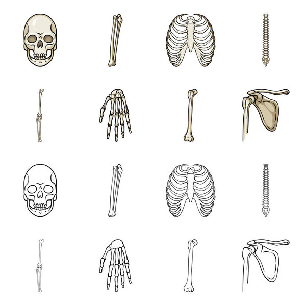 Изолированный объект медицины и логотип клиники. Коллекция медикаментов и векторных иллюстраций медицинского фонда
.