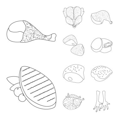 Gıda ve ızgara simge vektör çizimi. Gıda kümesi ve hisse senedi için kuş vektör simgesi.