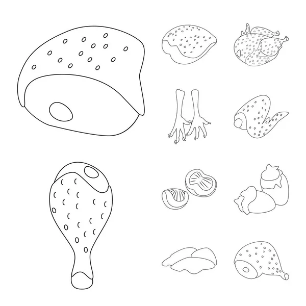 Изолированный объект питания и символ гриля. Коллекция векторных иллюстраций пищевых продуктов и птиц . — стоковый вектор