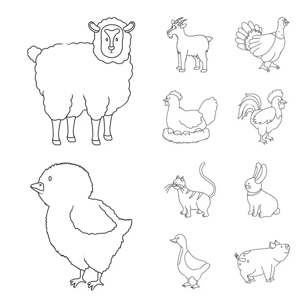 Vektorový design pro domácí a venkovské symboly. Výběr symbolu domácího a zemědělského skladu pro web. — Stockový vektor