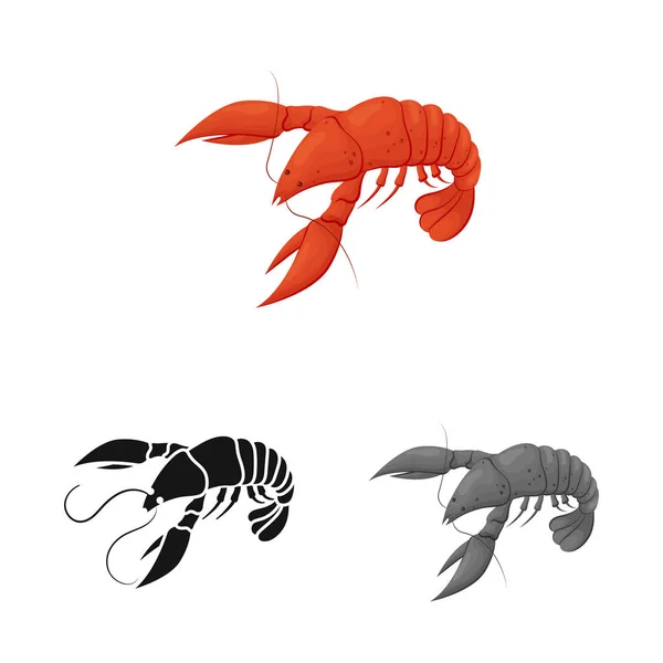 Ilustração vetorial de lagosta e logotipo vermelho. Conjunto de lagosta e símbolo de estoque atlântico para web . — Vetor de Stock