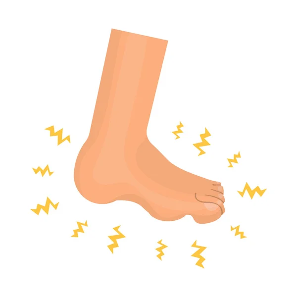Illustration vectorielle du logo pied et pied plat. Ensemble d'icône vectorielle de pied et d'anatomie pour stock . — Image vectorielle